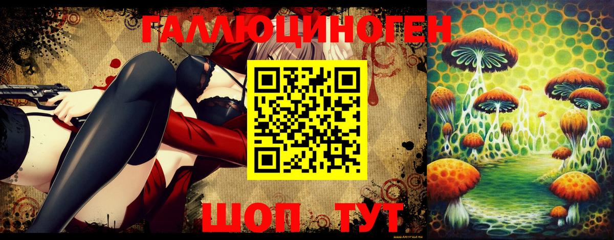 закладки  Галлюциногенные грибы Psilocybine cubensis  Вход с VPN  Куйбышев 