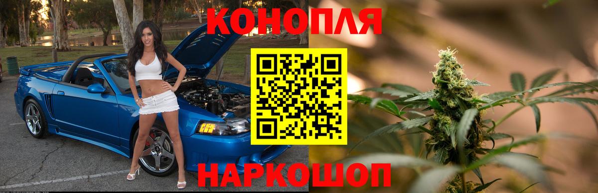 Каннабис план Куйбышев